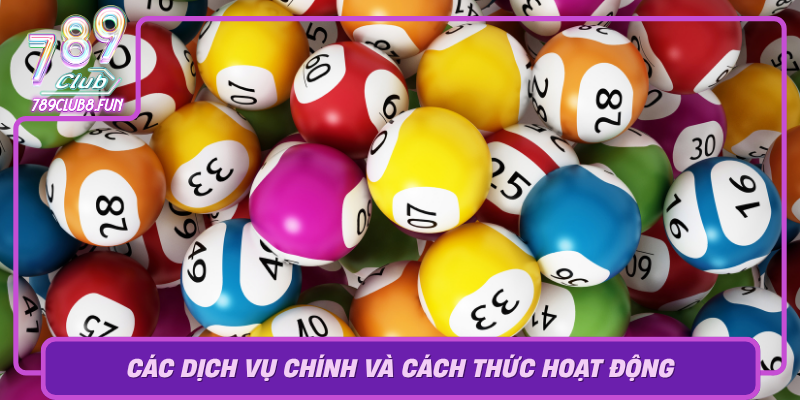 Cac Dich Vu Chinh Va Cach Thuc Hoat Dong