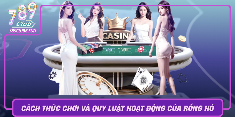 Cach Thuc Choi Va Quy Luat Hoat Dong Cua Rong Ho