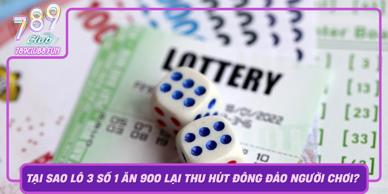 Tai Sao Lo 3 So 1 An 900 Lai Thu Hut Dong Dao Nguoi Choi